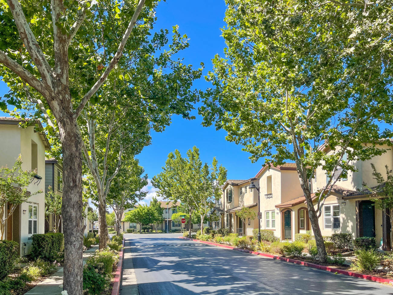 1610 Chamberlain-01.jpg